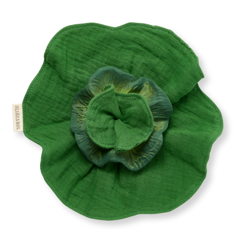 Kendall the Kale Mini Doudou-Teether